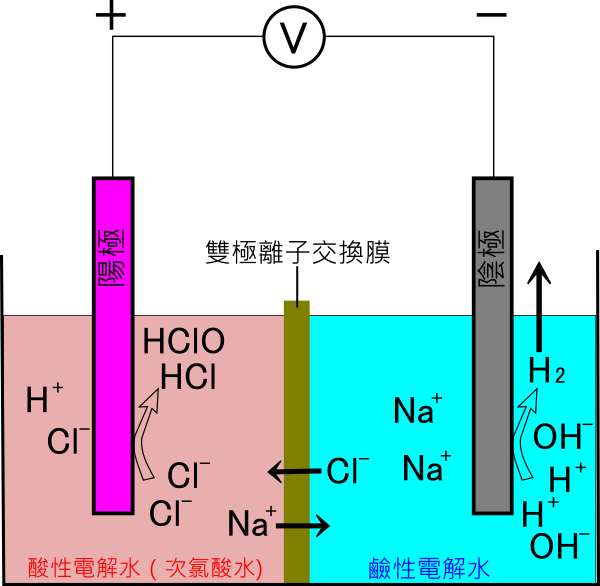 two-chamber electrolyzer